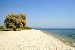 pythagorion beach